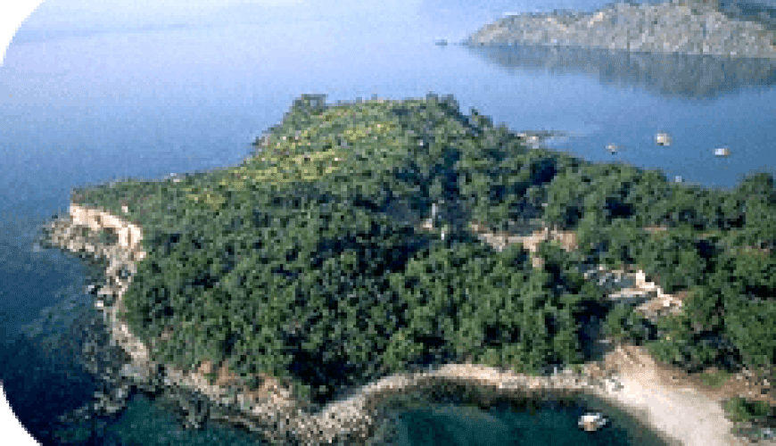 Phaselis