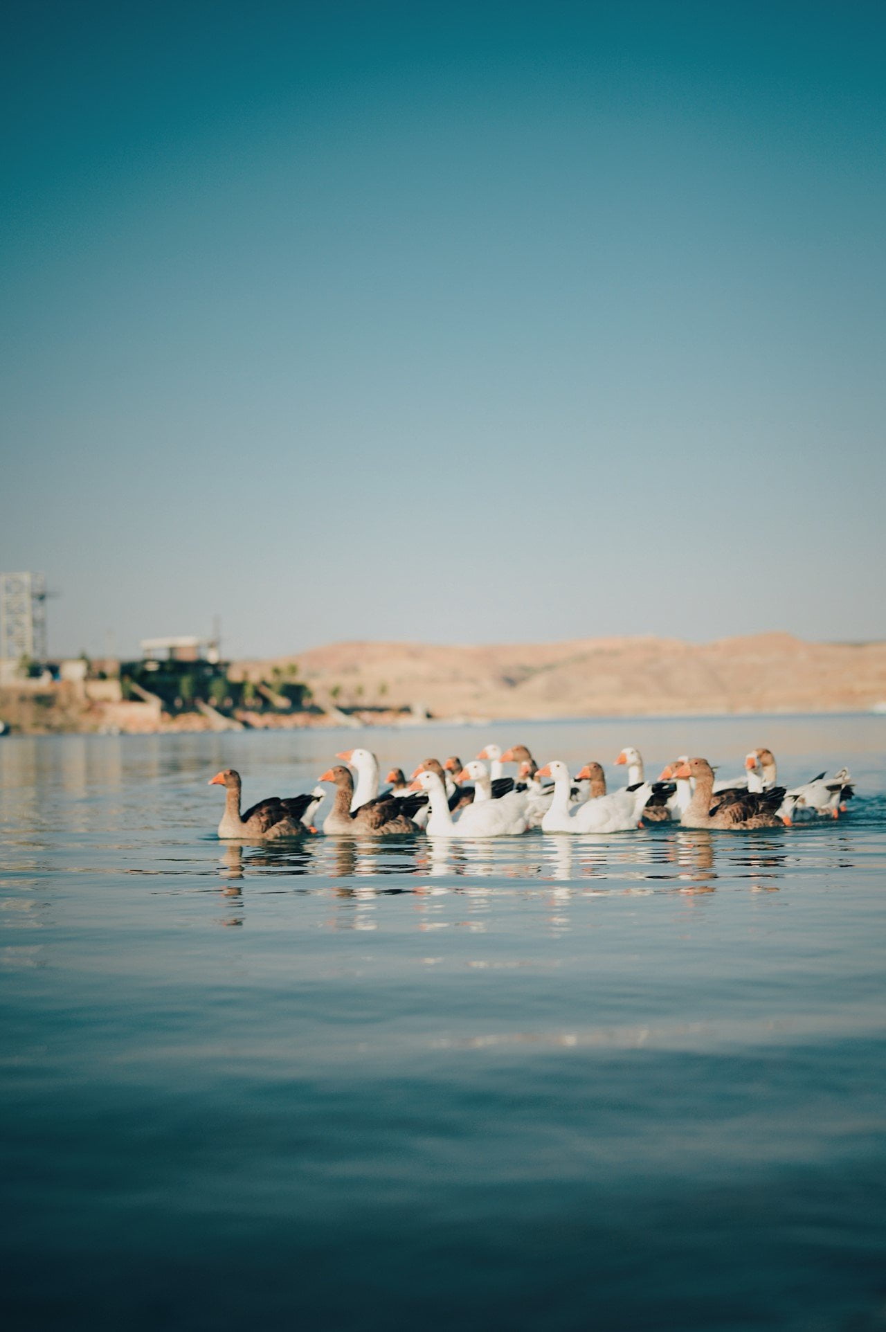 Adiyaman
