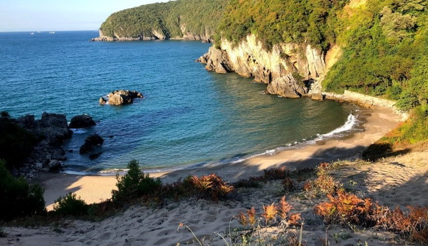 Amasra