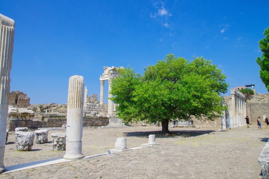 Pergamon Tours in Turkey
