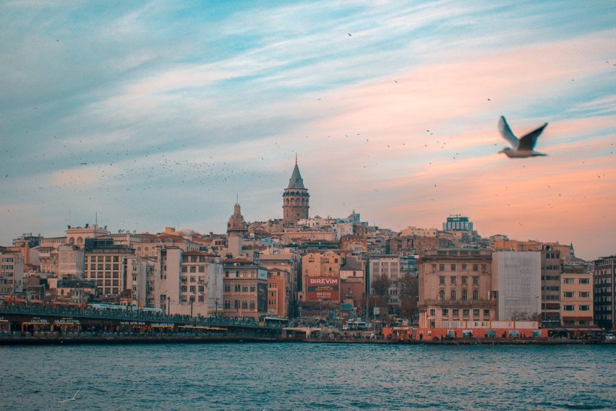 Local Tastes of Istanbul Half Day Culinary and History Walking Tour